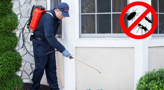 Sulusaray Böcek İlaçlama böcek ilaçlama ve haşere kontrolü — ilaclama-tr.com